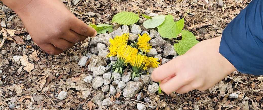 Cycle 1: Am B&euml;sch am Fr&eacute;ijoer